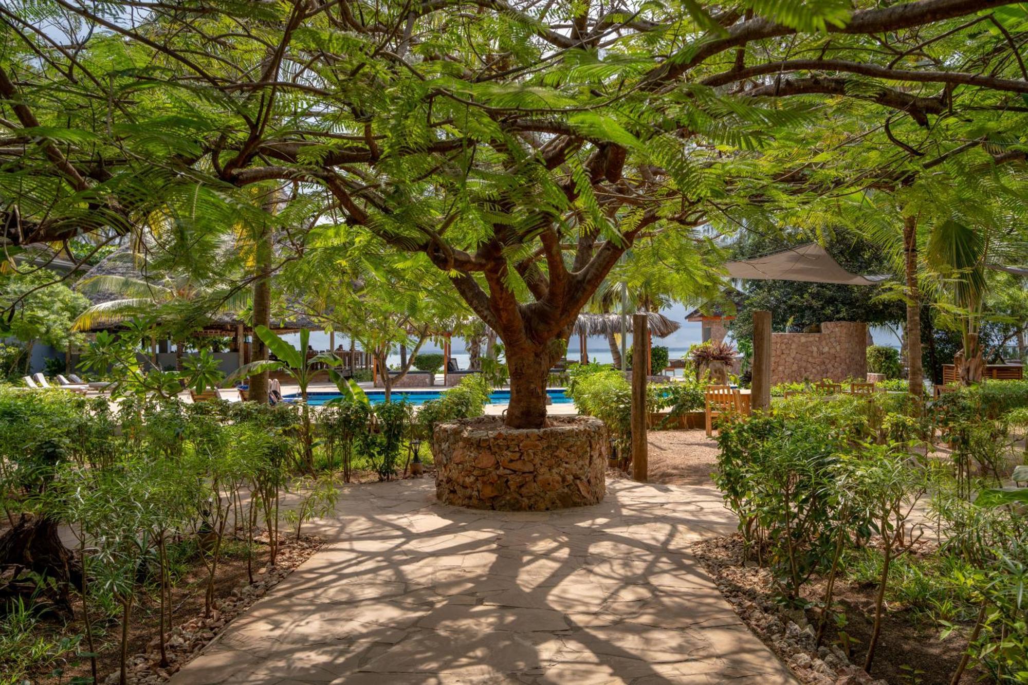 Michamvi Sunset Bay Hotel Bagian luar foto